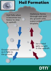 Do You Know How Hail Forms? Well, You're Probably Wrong. - DTN