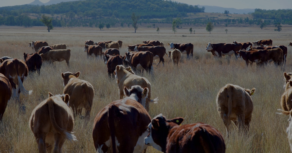 Dtn Ag Weather Tools Livestock Dtn