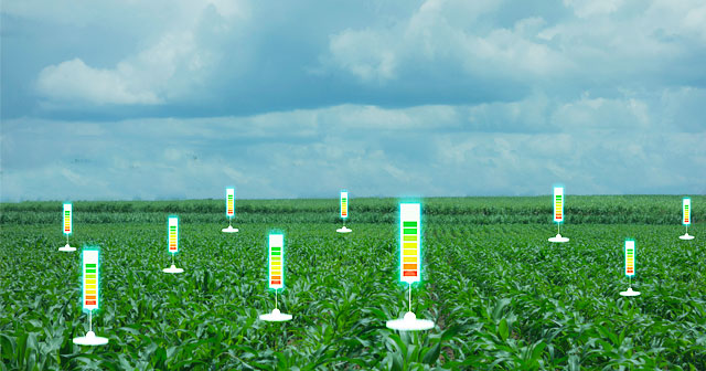 corn crop cloudy sky with digital spot gauges