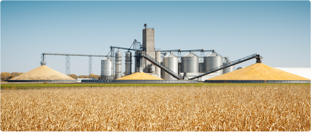 Grain elevator with silos
