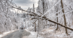 Downed power line in winter